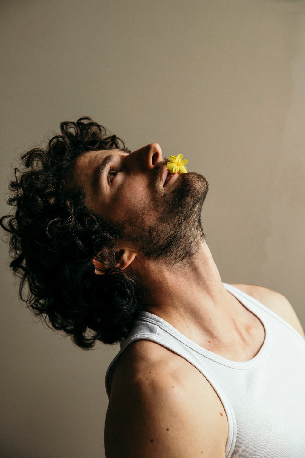 Dario